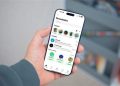 WhatsApp Se Renueva: Actualización Cambia el Color de los Chats a Verde