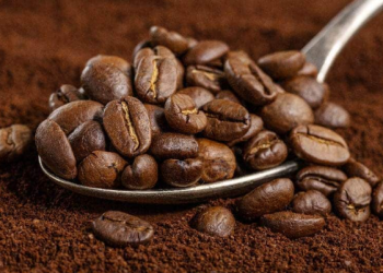 Crecen las Exportaciones de Café Hondureño a Europa