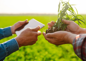 Innovación Tecnológica en Agricultura en Honduras