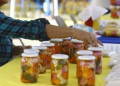 Emprendimiento Juvenil en Honduras: Oportunidades y Retos para una Nueva Generación