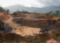El amor al dinero y el costo de la vida: la tragedia ambiental en Tocoa