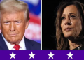 Elecciones Estados Unidos 2024: Un Panorama Crucial para el Futuro Político del País