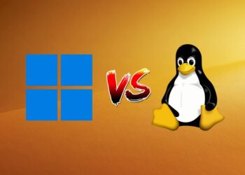 Linux gana terreno: qué puede hacer que Windows 11 no permite