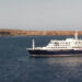 Alerta por hantavirus en crucero del Atlántico: qué debe saber