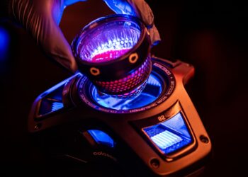 Crean pollos en cáscaras de huevo artificiales impresas en 3D