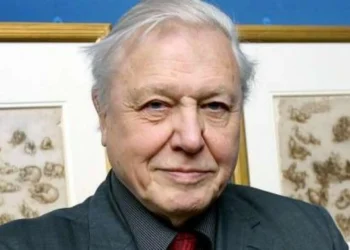 David Attenborough llega a los 100 años: el naturalista que enseñó al mundo