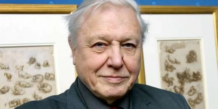 David Attenborough llega a los 100 años: el naturalista que enseñó al mundo