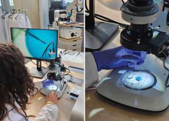La medicina reproductiva evoluciona: qué esperar en la próxima década