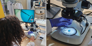 La medicina reproductiva evoluciona: qué esperar en la próxima década