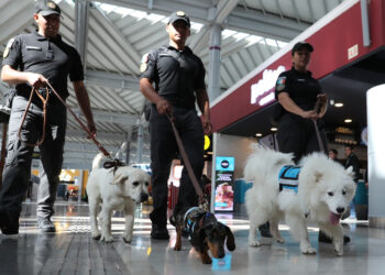 México y Guatemala unen fuerzas caninas para seguridad en Mundial 2026
