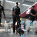 México y Guatemala unen fuerzas caninas para seguridad en Mundial 2026
