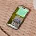Qué archivos NO debes compartir por WhatsApp para proteger tu identidad