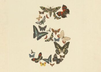 Anthropic presenta Claude Fable 5: qué es y cómo funciona