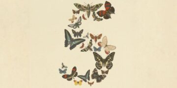 Anthropic presenta Claude Fable 5: qué es y cómo funciona