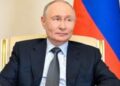 Putin rechaza reunirse con Zelensky para negociar fin de guerra