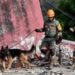 Rescatistas internacionales intensifican búsqueda de sobrevivientes en Venezuela