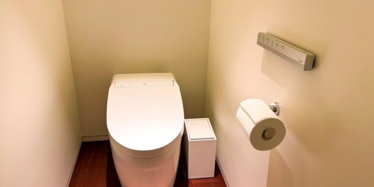 Washlets: la tecnología que está transformando los baños en España