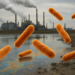 Contaminación por metales pesados fortalece bacterias resistentes