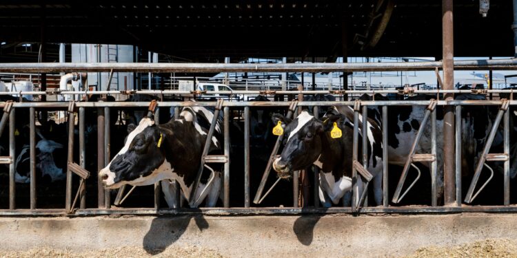 Gusanos y microorganismos: la solución ecológica contra la contaminación agrícola
