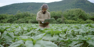 Inteligencia artificial en agricultura: el desafío de los datos en Centroamérica