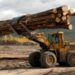 La Tierra se agota: hoy entra en sobregiro de recursos
