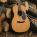 La madera de los instrumentos musicales enfrenta una crisis global