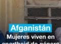 Afganas enfrentan crisis humanitaria cinco años después del colapso de Kabul