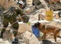 Colombia en emergencia tras potente terremoto que deja cientos de víctimas