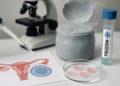 Congelación de óvulos: debate sobre fertilidad y derechos reproductivos
