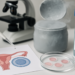 Congelación de óvulos: debate sobre fertilidad y derechos reproductivos