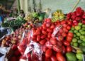 Crisis alimentaria: sequía deja a millones sin alimentos en Centroamérica