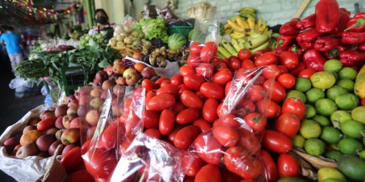 Crisis alimentaria: sequía deja a millones sin alimentos en Centroamérica