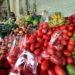 Crisis alimentaria: sequía deja a millones sin alimentos en Centroamérica