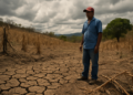 El Niño intensifica la crisis: Honduras declara emergencia en 103 municipios