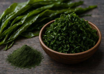Algas: el superalimento marino que transforma la nutrición