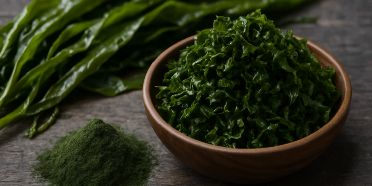 Algas: el superalimento marino que transforma la nutrición