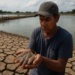 El Niño golpea al camarón: Honduras pierde 13 millones de libras