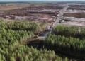 Investigación penal a Google en Finlandia por tala de 330 hectáreas