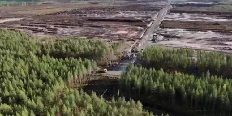 Investigación penal a Google en Finlandia por tala de 330 hectáreas