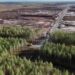 Investigación penal a Google en Finlandia por tala de 330 hectáreas