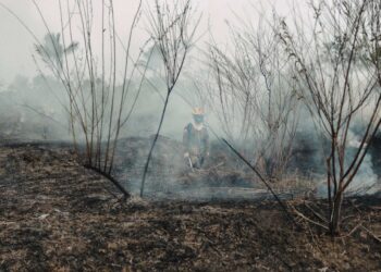 Sequía de El Niño arrasa Centroamérica: crisis alimentaria golpea a Honduras