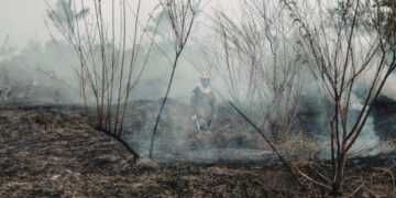 Sequía de El Niño arrasa Centroamérica: crisis alimentaria golpea a Honduras