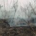 Sequía de El Niño arrasa Centroamérica: crisis alimentaria golpea a Honduras