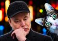 Tesla enfrenta desafío técnico nocturno en robotaxis: cámaras no detectan mascotas